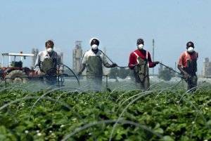 Travail d'insecticide