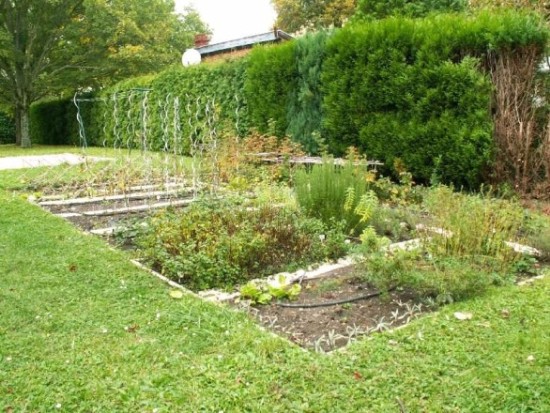 Un jardin potager